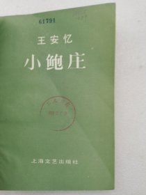 小鲍庄 王安忆