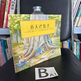 春天的兔子