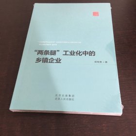 两条腿工业化中的乡镇企业
