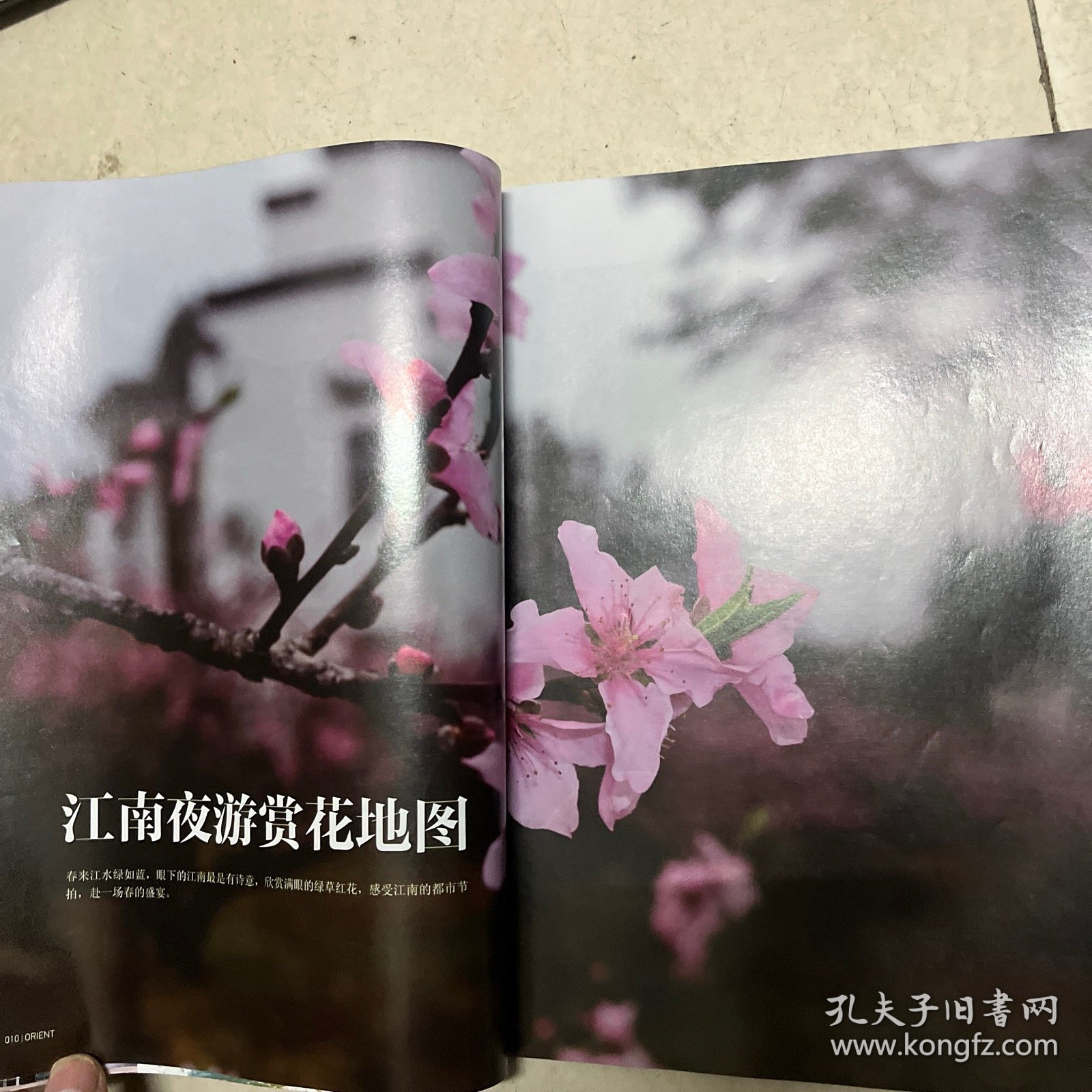 点击查看原图 东方文化周刊 2015年总第798期 春江花月夜............