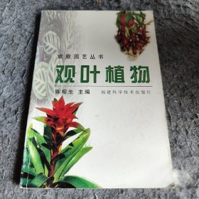 观叶植物