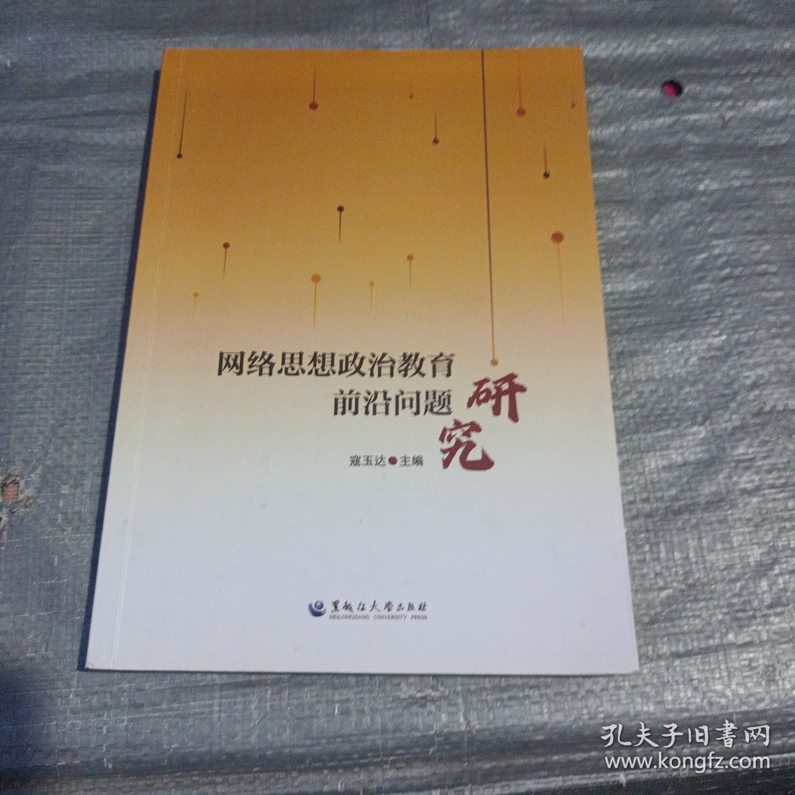 网络思想政治教育前沿问题研究