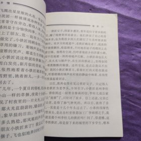 乡情