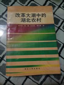 改革大潮中的湖北農(nóng)村