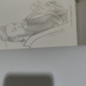 王义胜工笔人物画教程
