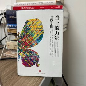 当下的力量实践手册（白金版）