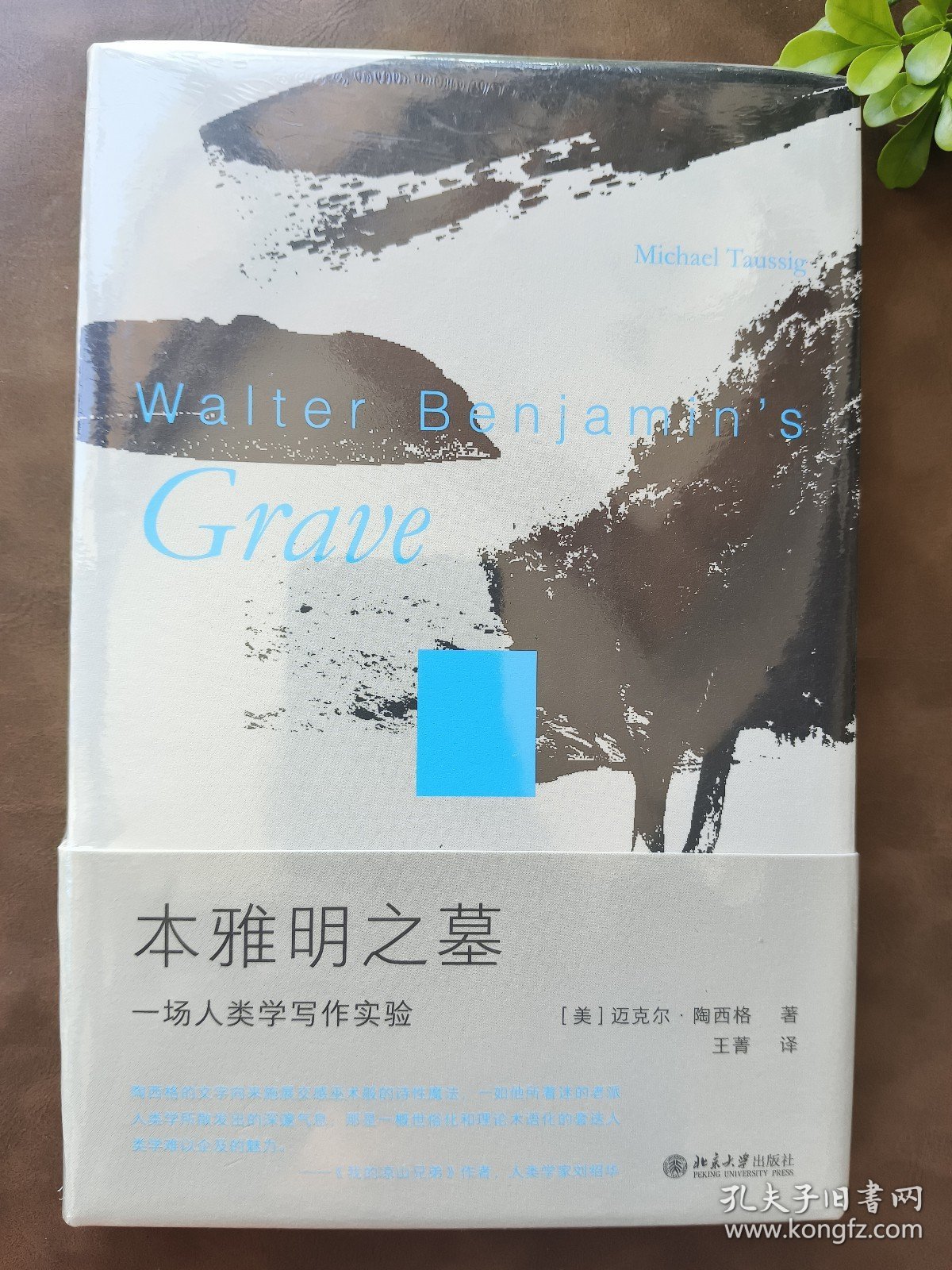 本雅明之墓：一场人类学写作实验 迈克尔·陶西格带您聆听微妙之处，奇事不再遥远