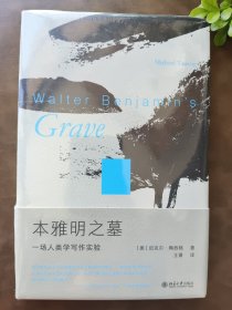 本雅明之墓：一场人类学写作实验 迈克尔·陶西格带您聆听微妙之处，奇事不再遥远