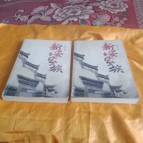 新安家族（上下）