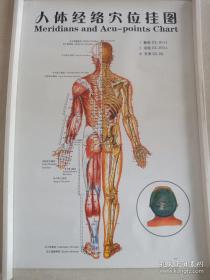 《人体经络穴位挂图》《足部反射区健康疗法挂图》《手部反射区健康疗法挂图》《头部保健按摩图》共6张
