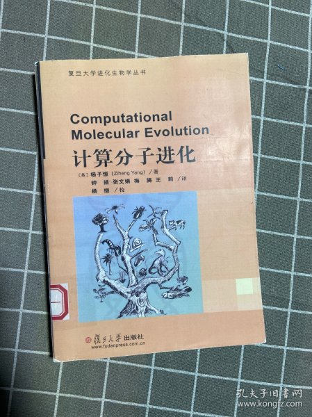 计算分子进化