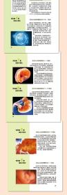 怀孕圣经(第4版全新修订)