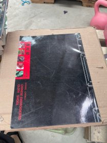 绣花鞋——源自民间的天真与自然（张春继油画绣花鞋系列）