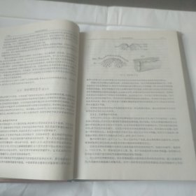 中枢神经系统解剖学