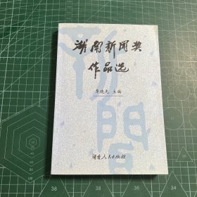 湖南新闻奖作品选.第十三届