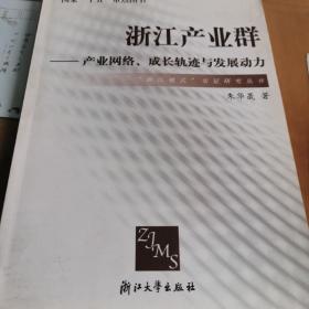 浙江产业群：产业网络成长轨迹与发展动力