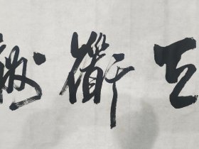 周慧珺（1939年12月6日[5]-2021年12月27日），女，浙江镇海人，国家一级美术师，享受国务院颁发的政府特殊津贴。[1][3]曾任中国书法家协会副主席、上海市书法家协会第四、五届主席，上海市文联副主席，中国书法家协会顾问，上海市书法家协会名誉主席，上海文史馆馆员，享受国务院颁发的政府特殊津贴。2014年，获第五届“中国书法兰亭奖——终身成就奖”和上海市第六届“文学艺术奖——杰出贡献奖