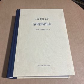 上海市级专志·宝钢集团志