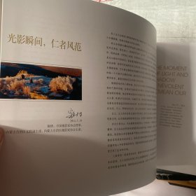 阿斯哈图石林 : 王义阿斯哈图石林摄影作品集（中国摄影社版2014年一版一印，8开铜版纸全彩印刷）