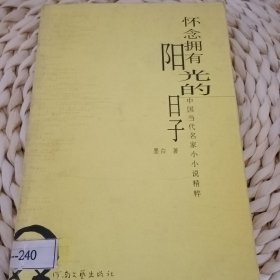 怀念拥有阳光的日子——中国当代名家小小说精粹