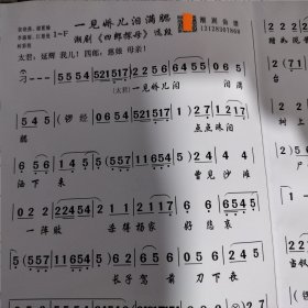 一见娇儿泪满腮《四郎探母》潮剧曲谱 广东汕头潮剧院潮剧团二团一团专业 潮汕潮剧唱段大全剧本简谱
