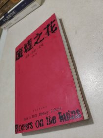 废墟之花：摇滚・历史・文化：摇滚·历史·文化