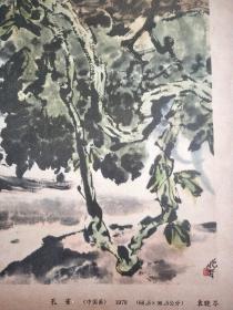 中国画《孔雀》袁晓岑作。