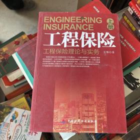 工程保险（上册）：工程保险理论与实务