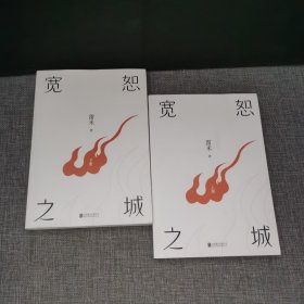 宽恕之城限量专享人物关系图+作者手写信封套装+四色书签 《心理罪》《人鱼》作者雷米新作