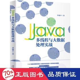 Java多线程与大数据处理实战