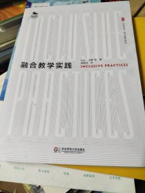 大夏书系：融合教学实践