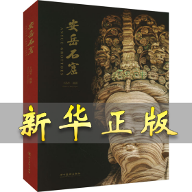安岳石窟 王達(dá)軍 9787574013322 四川美術(shù)出版社