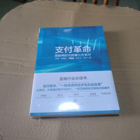 支付革命：互联网时代的第三方支付