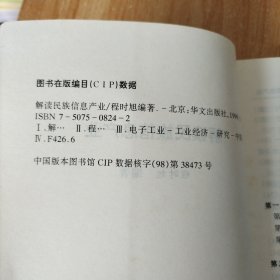 解读民族信息产业