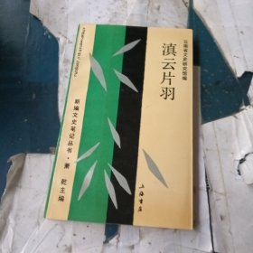 滇云片羽