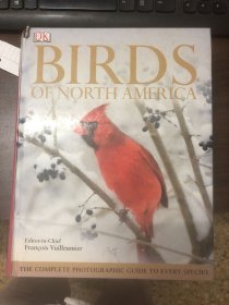 BIRDS OF NORTH AMERICA