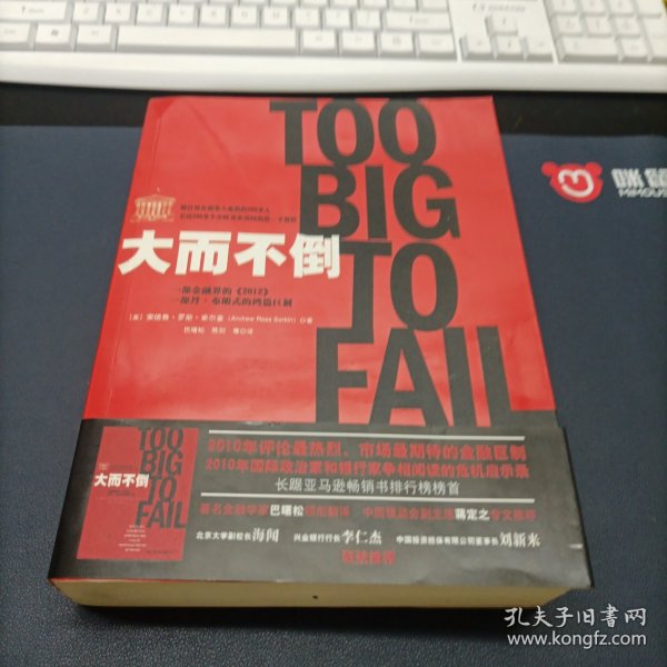 大而不倒：2010年全球政要和首席执行官争相阅读的金融危机启示录