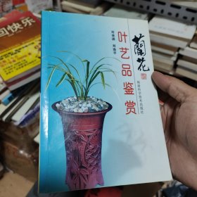 兰花叶艺品鉴赏