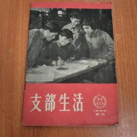 支部生活 1966年10-11（北京）