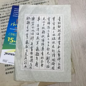 L886 【杂项】十大元帅像章、手稿、个人简历、工牌等，详见图示