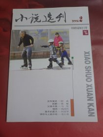 小说选刊 2008-2