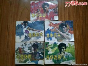 武术家霍东阁一套（1—5册全）