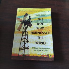 The Boy Who Harnessed the Wind