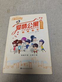 爱情公寓漫画4：匆匆那年