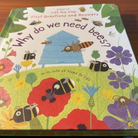 why do we need bees？lift the flap first questions and answers
