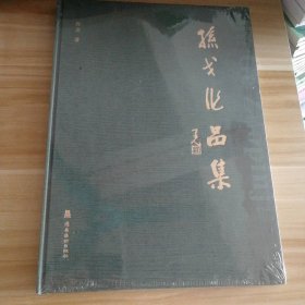 孙戈作品集