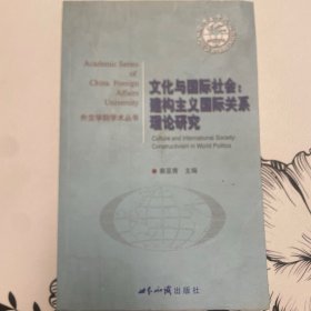 文化与国际社会：建构主义国际关系理论研究