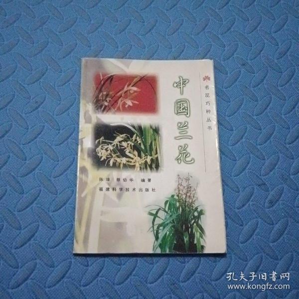 名花巧种丛书--中国兰花