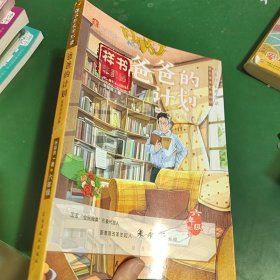 爸爸的计划：张婴音作品集