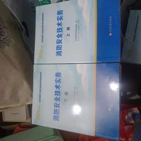 一级注册消防工程师2021教材消防安全技术实务（上、下册）中国计划出版社一级注册消防工程师资格考试教材